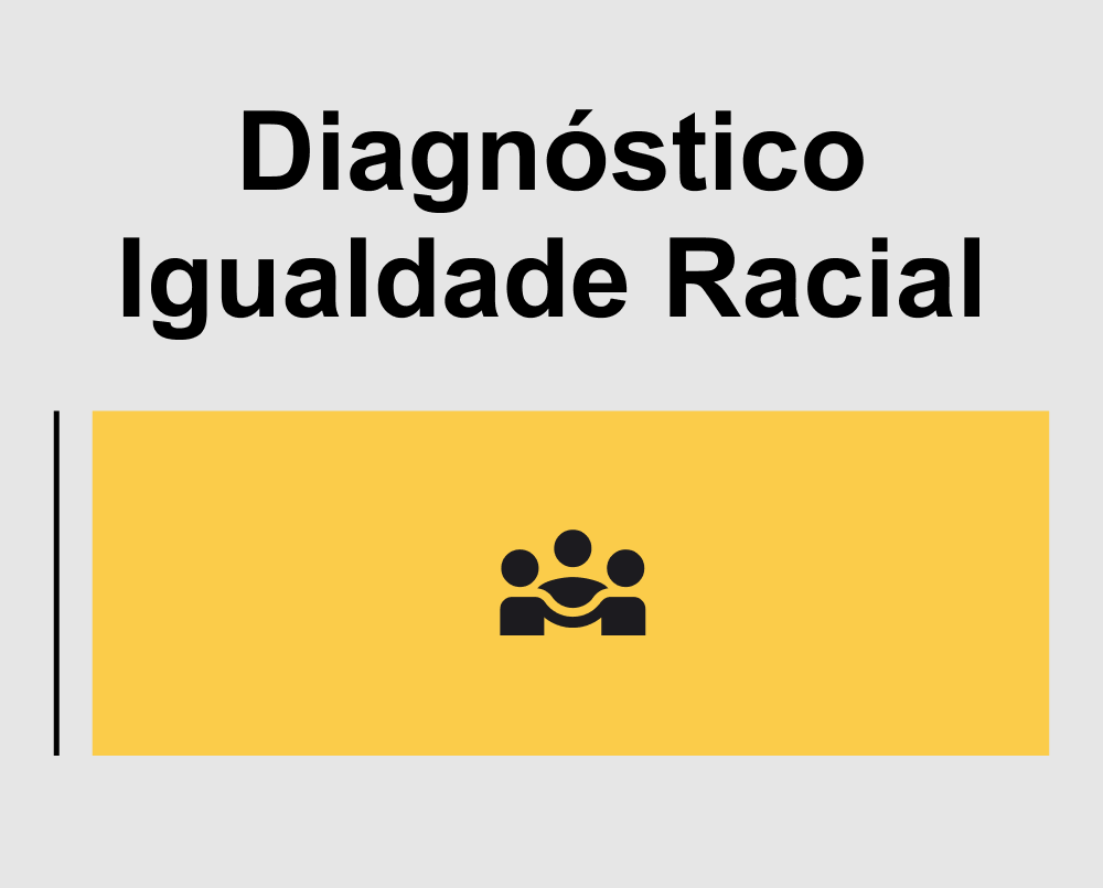 Diagnóstico Igualdade Racial
